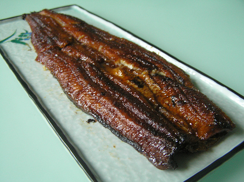 Unagi dish