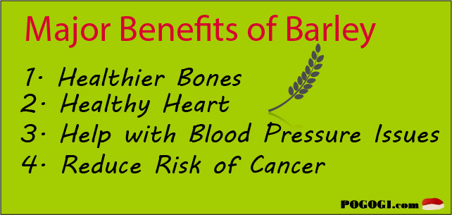 barley health fact.jpg