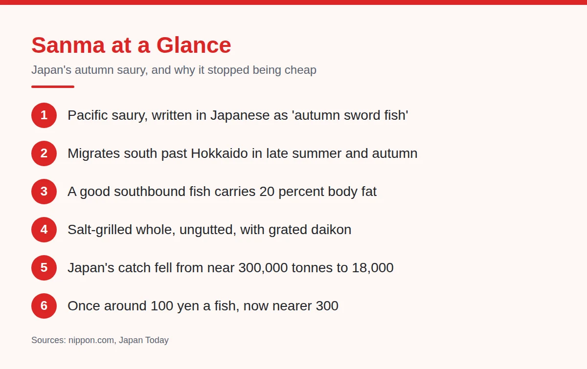 Summary card: Sanma at a Glance