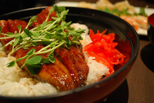 Unagi on rice dish