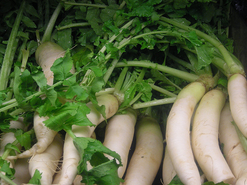 Daikon from https://www.flickr.com/photos/51004712@N08/