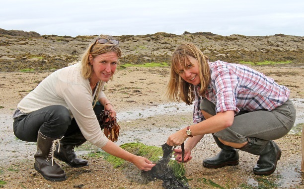 image of mara seaweed founders