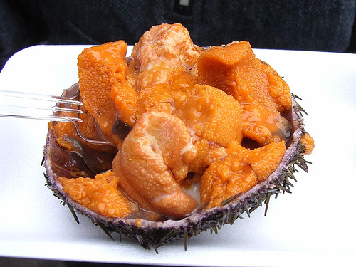 Sea urchin roe by sigusr0, on Flickr