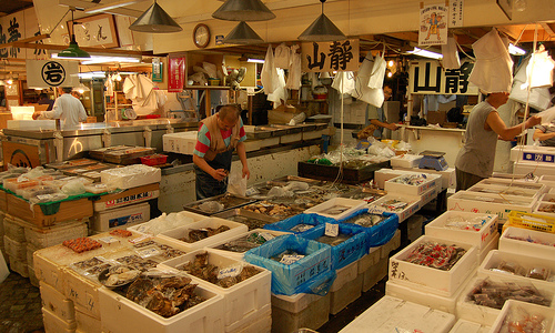 Tsukiji fish market by Greg Palmer