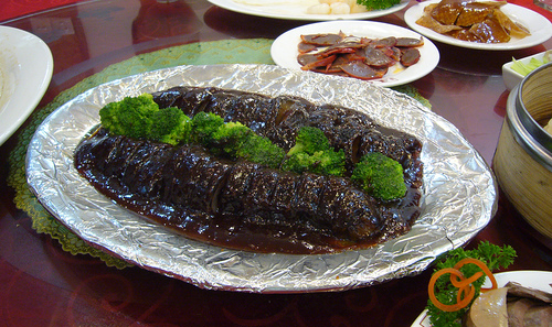 Sea cucumber by Kent Wang