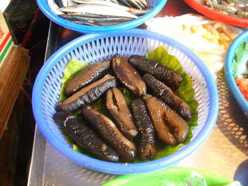 Basket of Sea Cucumbers by Augapfel