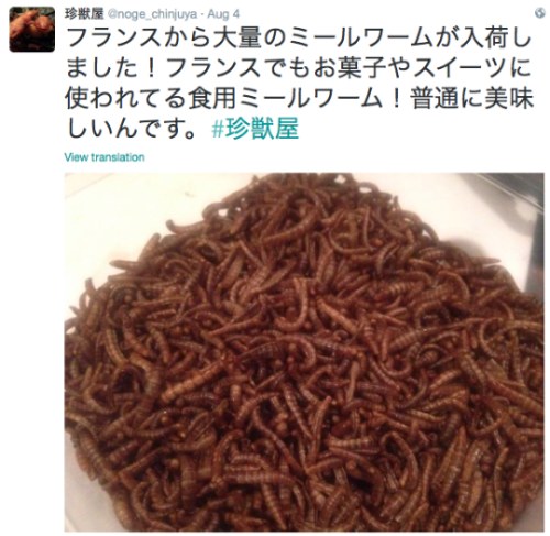 Do you have the stomach for this? Japanese restaurant serves axolotl,  isopods and piranhas, Food News - AsiaOne