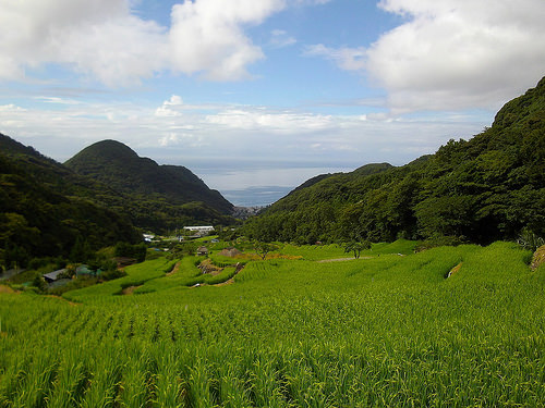 Terraced Rice Fields in Ishibu by izunavi, on Flickr