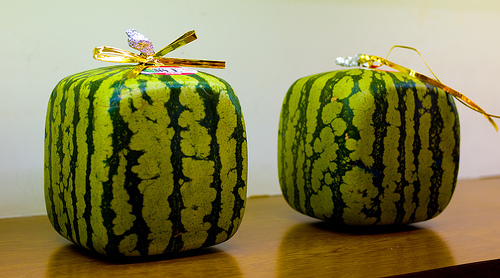 Square watermelons by Joi, on Flickr