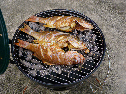 Lane Snapper in the Hibachi by Rusty Clark - On the Air M-F 8am-noon, on Flickr