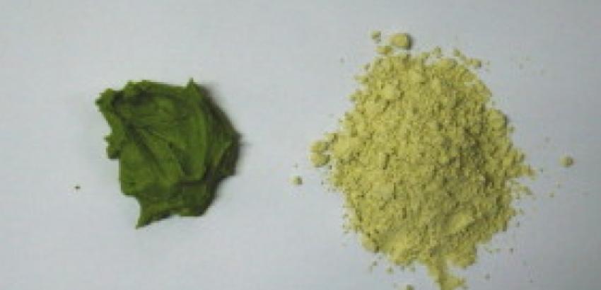 wasabi powder
