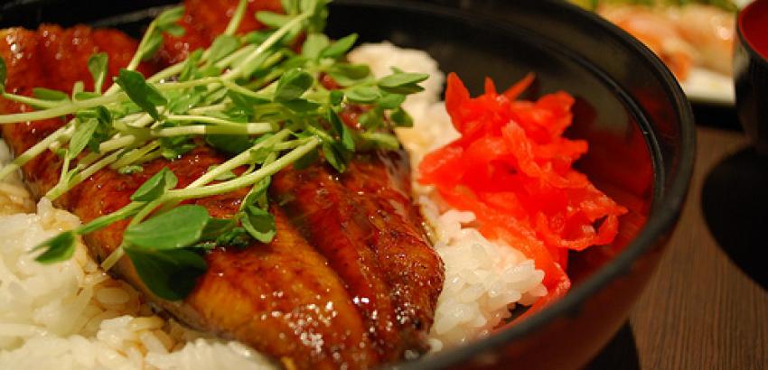 Unagi on rice dish