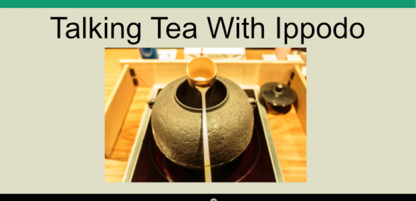 podcast 8 - Ippodo tea interview cover image