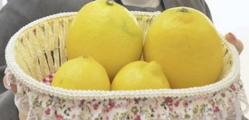 Japanese lemon